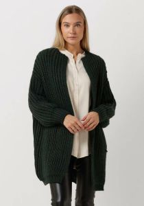 Simple Groene Vest Olive Knit-wo-22-3