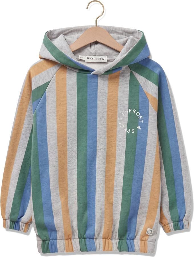 SPROET & SPROUT Jongens Truien & Vesten Sweatshirt Hoody Stripes Multi