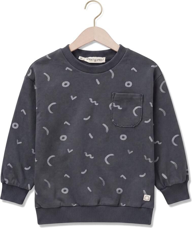 SPROET & SPROUT Jongens Truien & Vesten Sweatshirt Painters Brush Print Antraciet