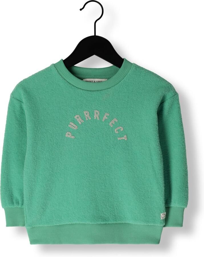 Sproet & Sprout Jongens Truien & Vesten Sweatshirt Purrrfect Mint - Foto 3