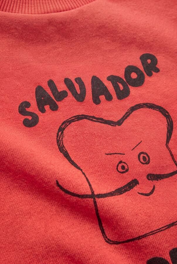 SPROET & SPROUT Jongens Truien & Vesten Sweatshirt Salvador Deli Rood - Foto 2