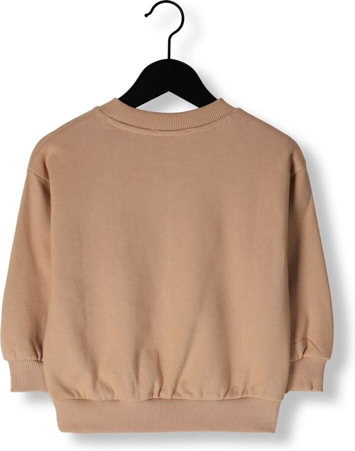 Sproet & Sprout Jongens Truien & Vesten Sweatshirt Saturn Bruin