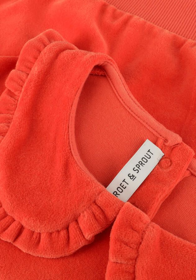 Sproet & Sprout Meisjes Truien & Vesten Sweatshirt Velvet Ruffle Collar Koraal - Foto 3