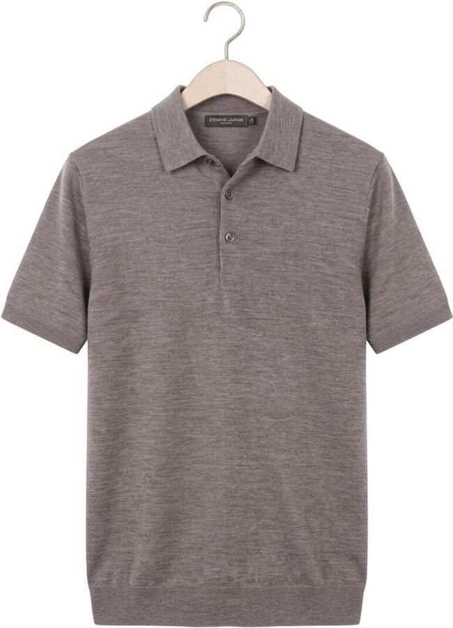 STEFANO LAURAN Heren Polo's & T-shirts Polo Boden Taupe - Foto 2