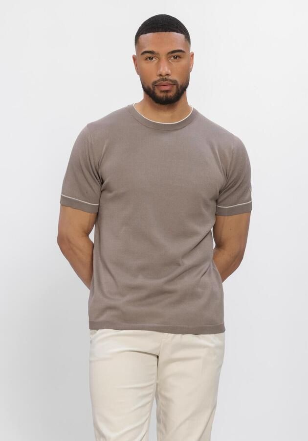 STEFANO LAURAN Heren Polo's & T-shirts T-shirt Bror Taupe