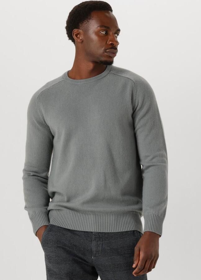 STEFANO LAURAN Heren Truien & Vesten Crew L Grijs - Foto 4