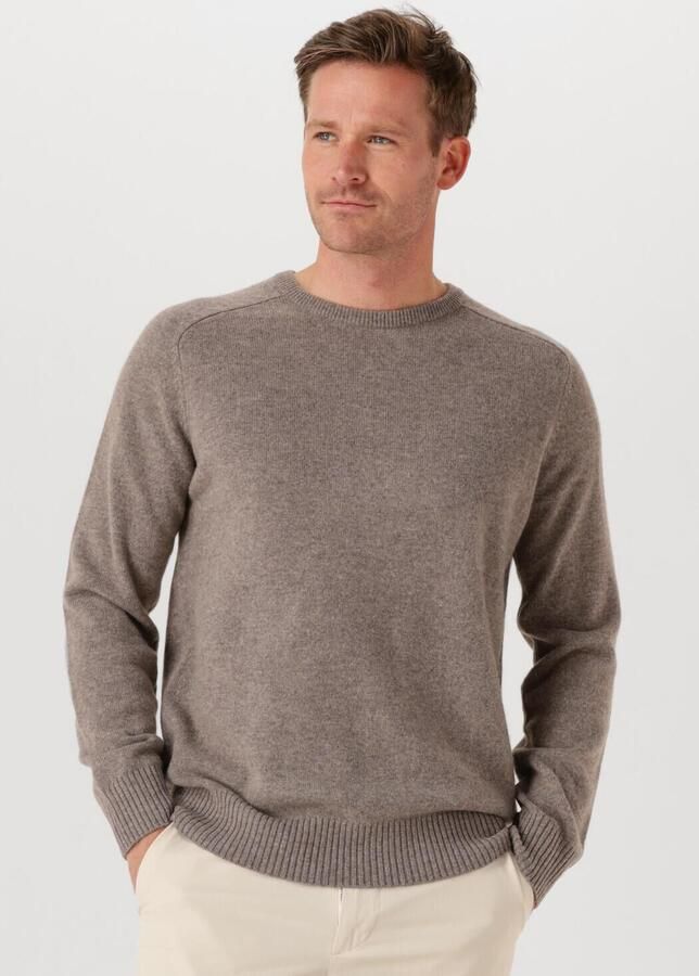 STEFANO LAURAN Heren Truien & Vesten Crew L Taupe - Foto 4