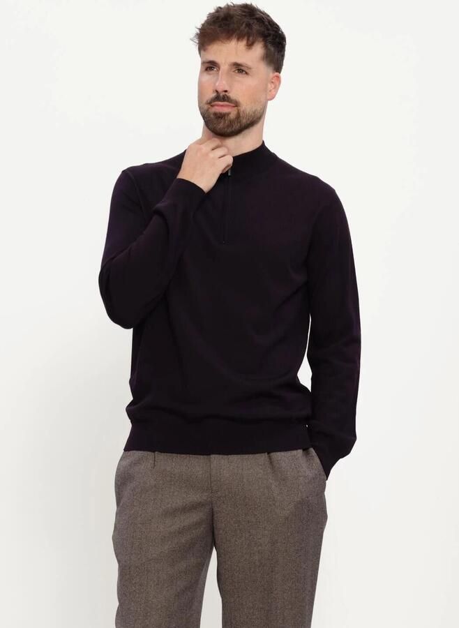 STEFANO LAURAN Heren Truien & Vesten Half Zip Anders Plum