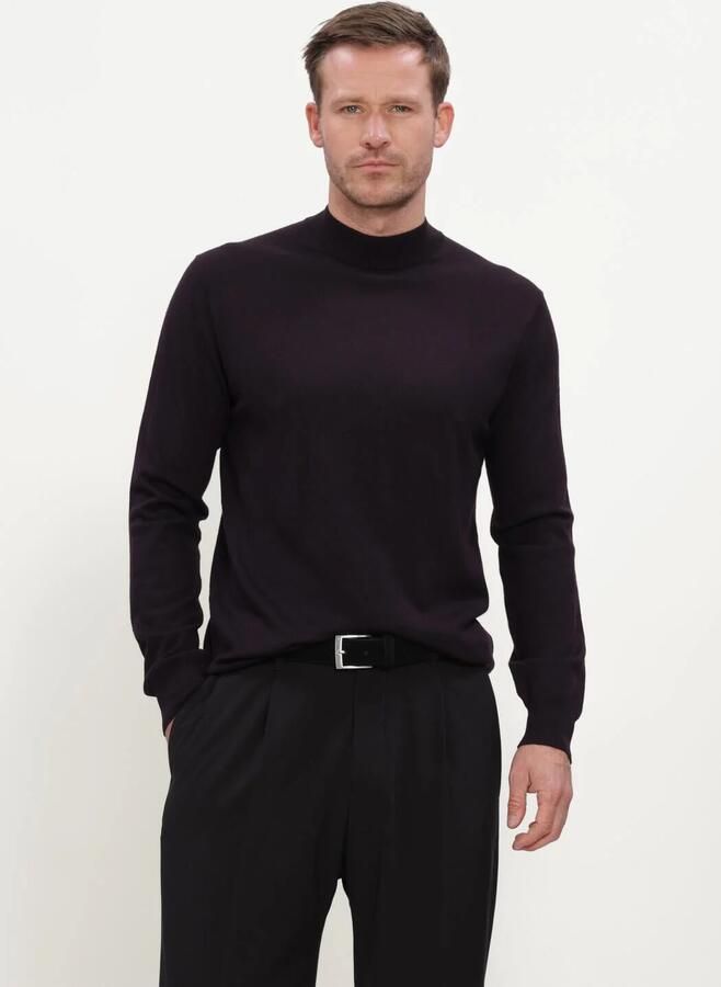STEFANO LAURAN Heren Truien & Vesten Turtle Paars