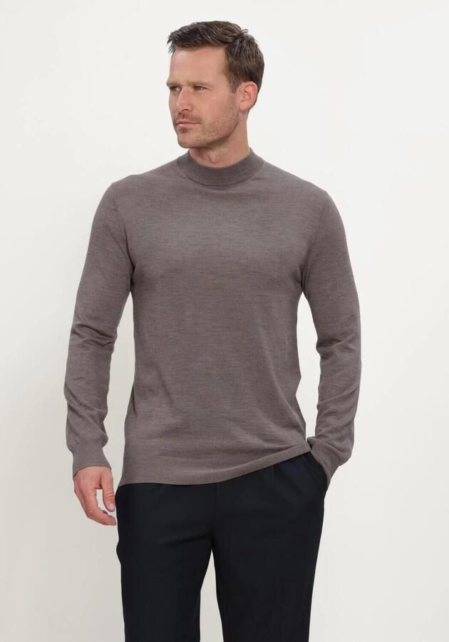 STEFANO LAURAN Heren Truien & Vesten Turtle Taupe
