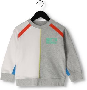 Stella Mccartney Kids Grijze Sweater Ts4q40