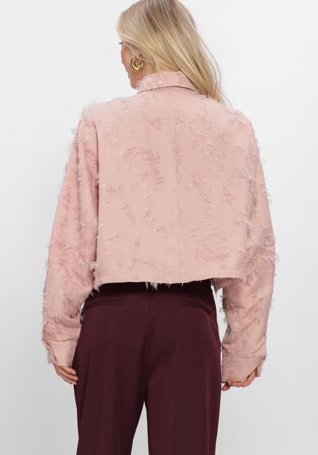 STUDIO AMAYA Dames Blouses Calira Blouse Roze - Foto 3