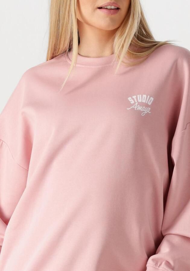 STUDIO AMAYA Dames Truien & Vesten Axis Sweater Lichtroze - Foto 3