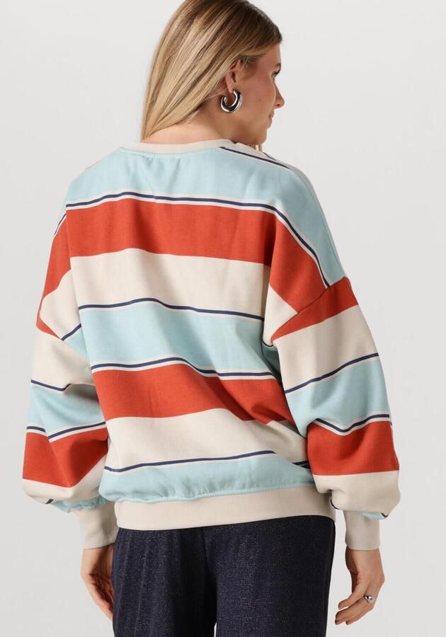 STUDIO AMAYA Dames Truien & Vesten Daisey Multi