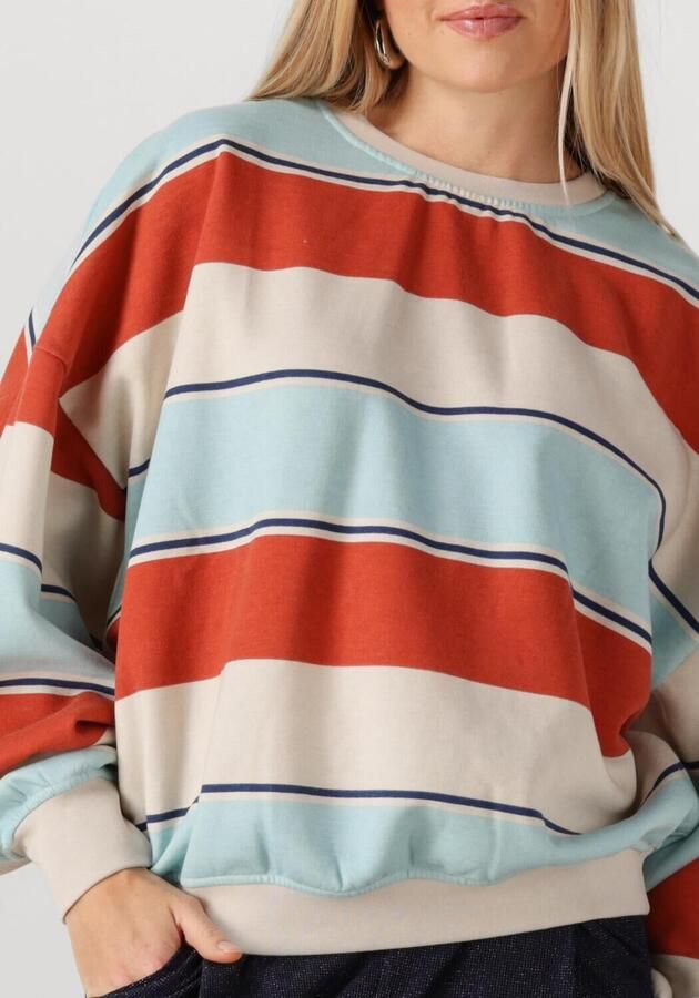 STUDIO AMAYA Dames Truien & Vesten Daisey Multi - Foto 2