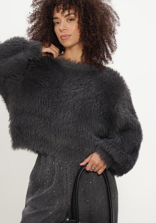 STUDIO AMAYA Dames Truien & Vesten Dol Knitwear Antraciet - Foto 4