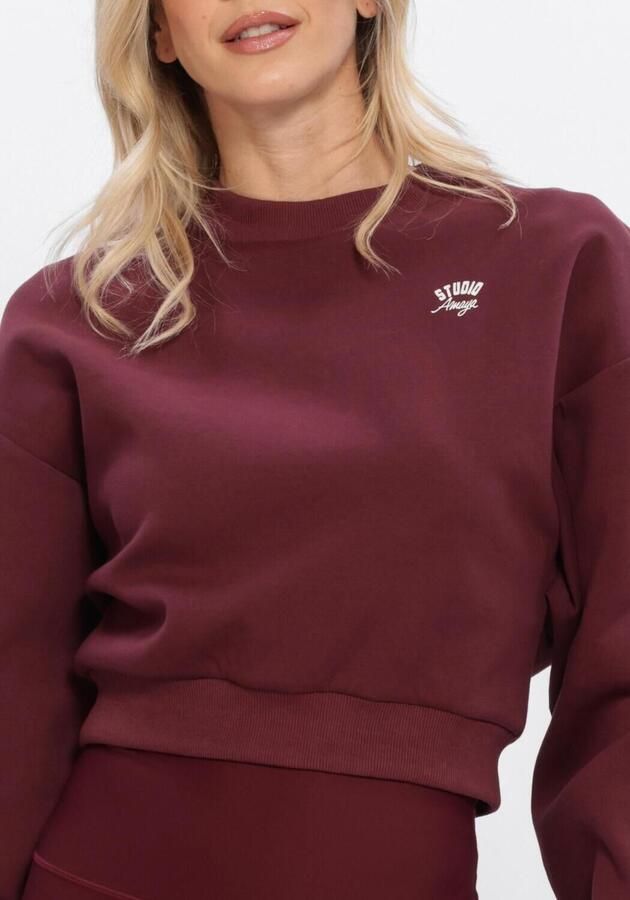 STUDIO AMAYA Dames Truien & Vesten Flow Sweater Bordeaux - Foto 4