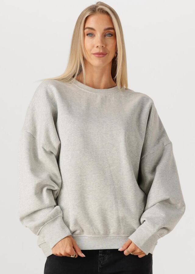 STUDIO AMAYA Dames Truien & Vesten Japan Grijs