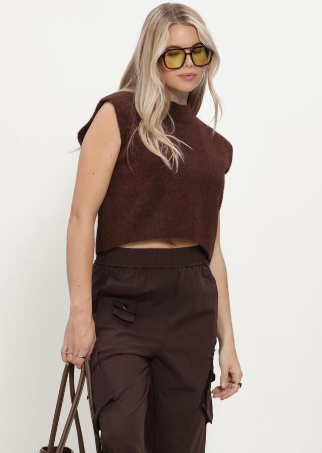 STUDIO AMAYA Dames Truien & Vesten Sano Knitwear Bruin