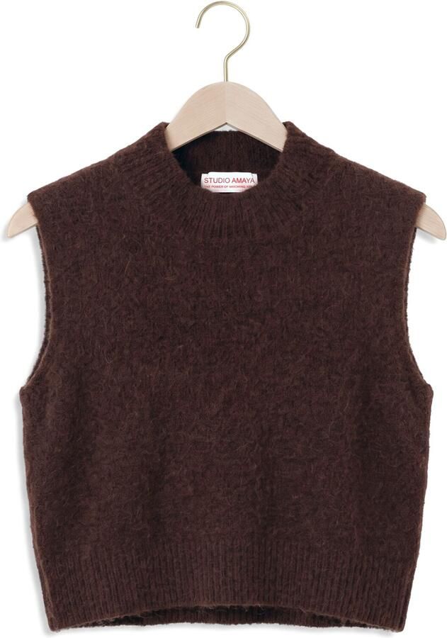 STUDIO AMAYA Dames Truien & Vesten Sano Knitwear Bruin - Foto 2