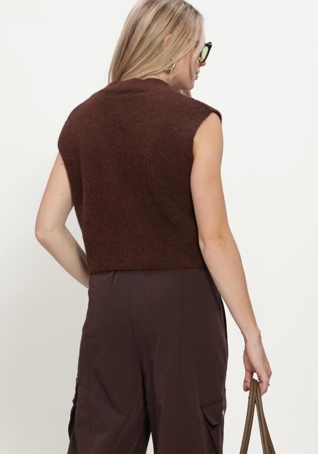STUDIO AMAYA Dames Truien & Vesten Sano Knitwear Bruin - Foto 3