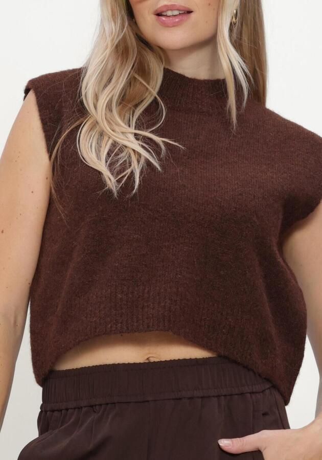 STUDIO AMAYA Dames Truien & Vesten Sano Knitwear Bruin - Foto 4