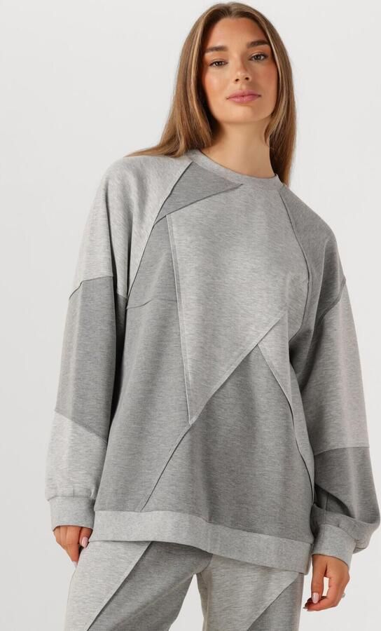 STUDIO AMAYA Dames Truien & Vesten Violet Lichtgrijs - Foto 4