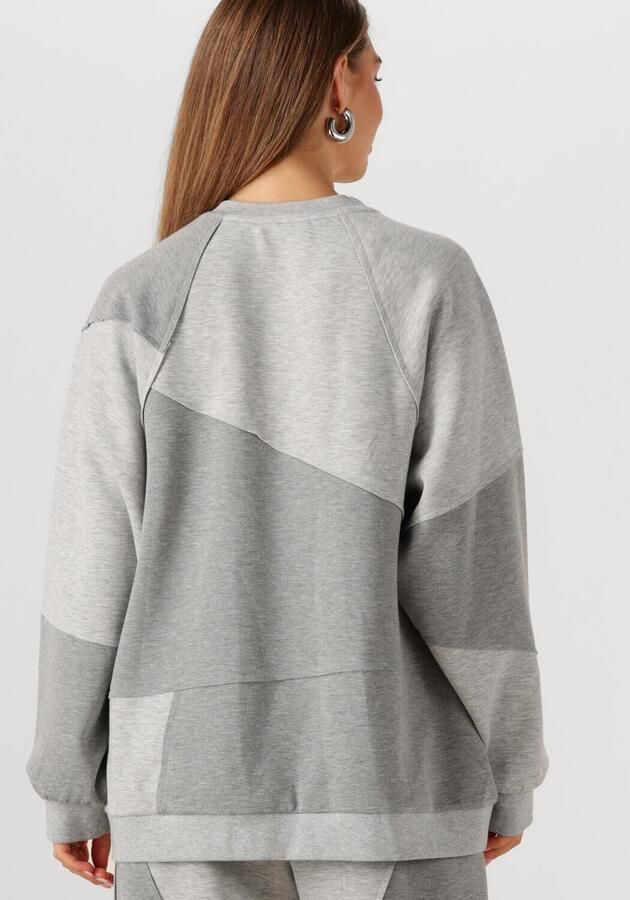 STUDIO AMAYA Dames Truien & Vesten Violet Lichtgrijs