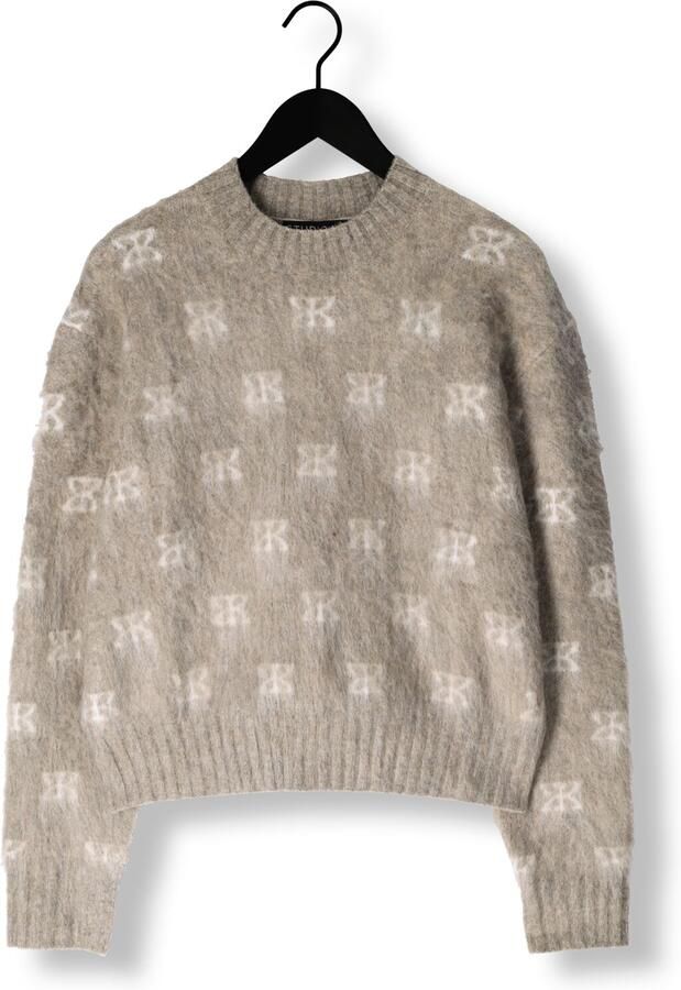 STUDIO AR Dames Truien & Vesten Alyssa Brushed Knit Taupe - Foto 3