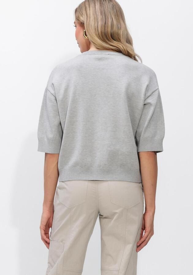 STUDIO AR Dames Truien & Vesten Isidre Viscose Knit Grijs - Foto 3