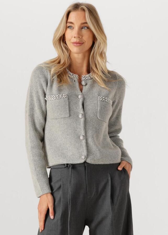 SUNCOO Dames Truien & Vesten Garvi Lichtgrijs - Foto 4