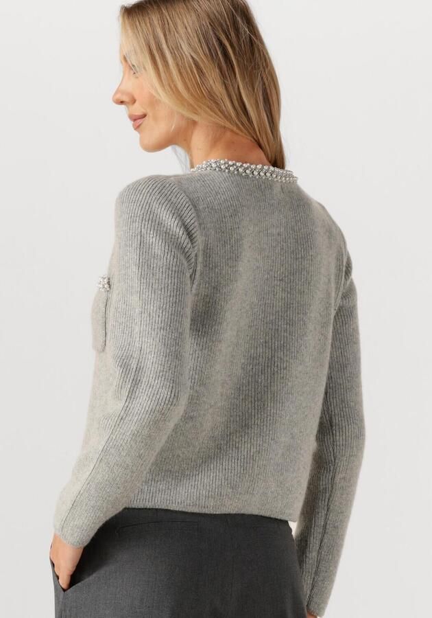 SUNCOO Dames Truien & Vesten Garvi Lichtgrijs