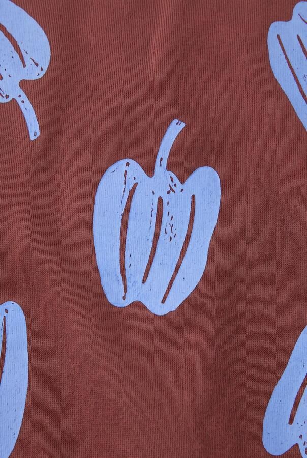THE NEW CHAPTER Jongens Truien & Vesten Billie Sweater Bruin