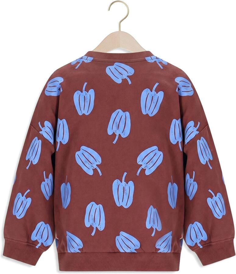 THE NEW CHAPTER Jongens Truien & Vesten Billie Sweater Bruin - Foto 2