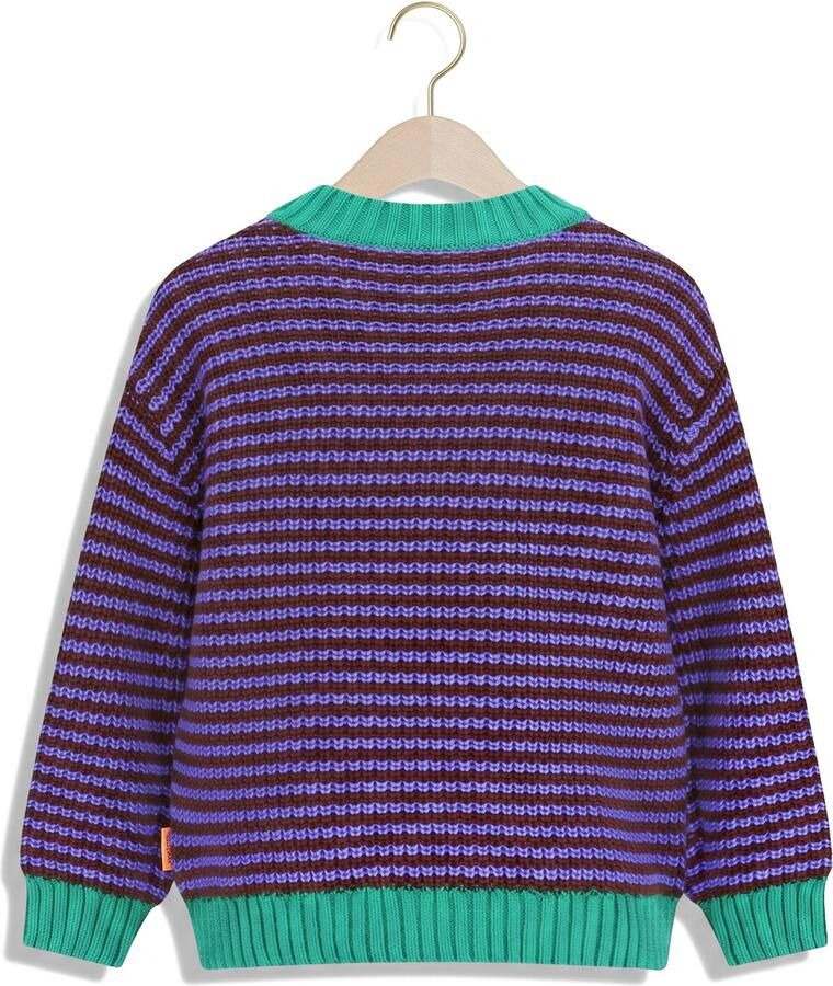 THE NEW CHAPTER Jongens Truien & Vesten Jamie Knitted Sweater Multi - Foto 2