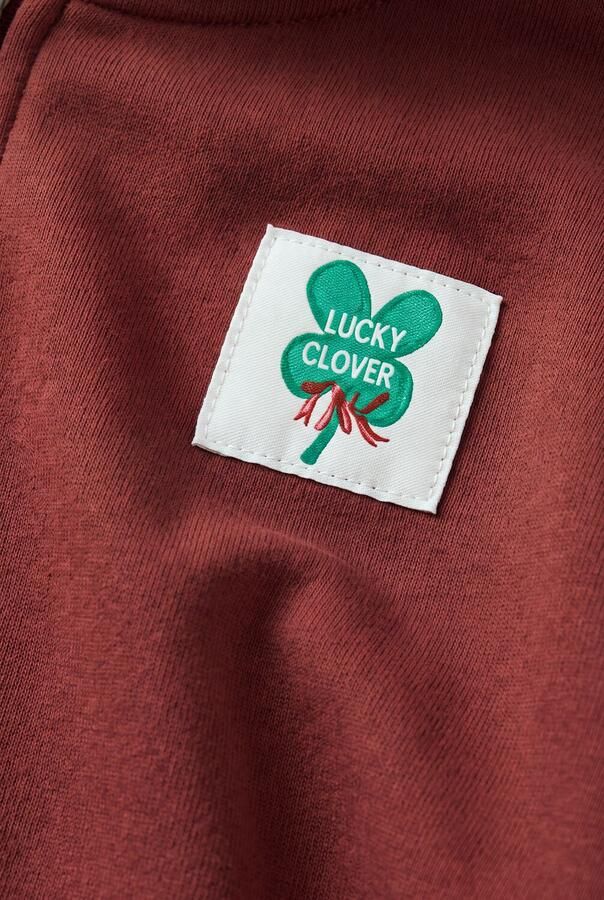 THE NEW CHAPTER Jongens Truien & Vesten Mads Vest Bordeaux