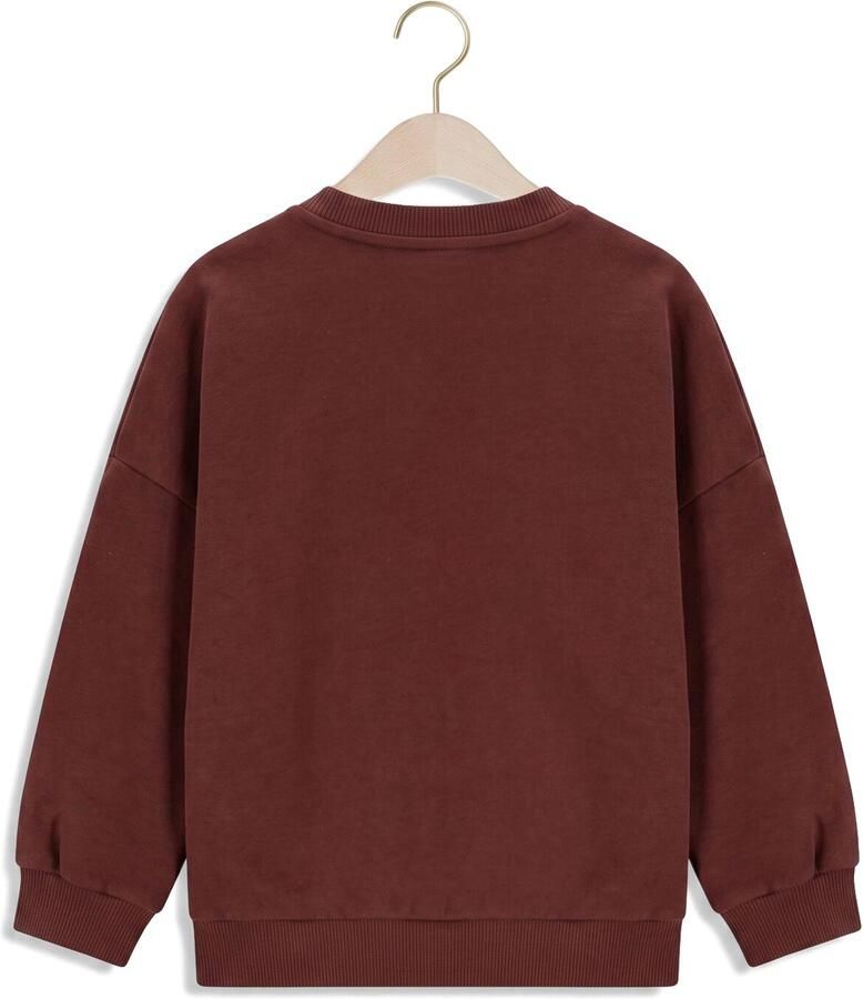 THE NEW CHAPTER Meisjes Truien & Vesten Billie Sweater Bruin - Foto 2