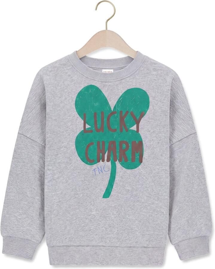 THE NEW CHAPTER Meisjes Truien & Vesten Billie Sweater Grijs