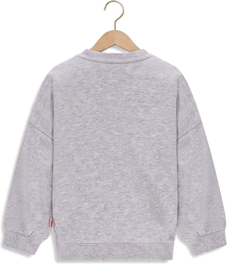 THE NEW CHAPTER Meisjes Truien & Vesten Billie Sweater Lichtgrijs - Foto 2