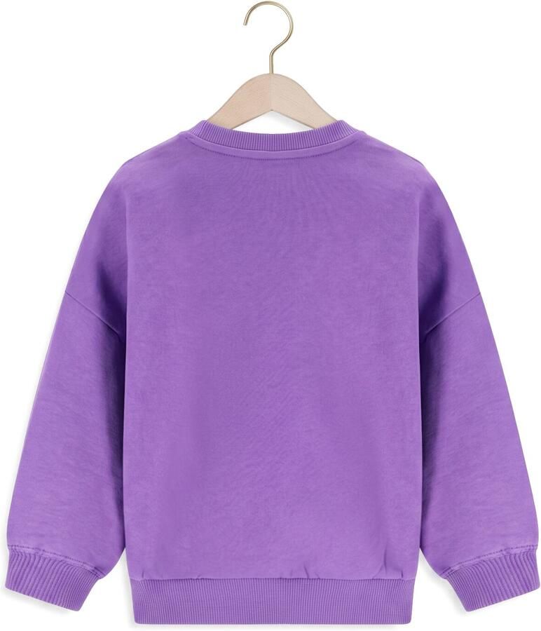 THE NEW CHAPTER Meisjes Truien & Vesten Billie Sweater Paars - Foto 2