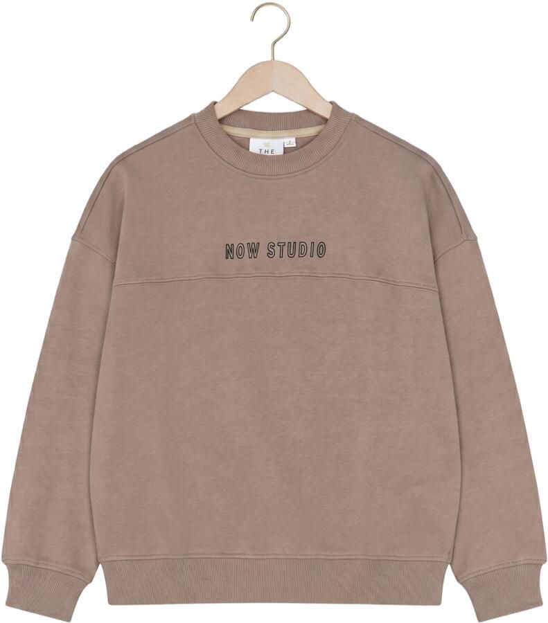 THE NEW Jongens Truien & Vesten Tnveryl Taupe