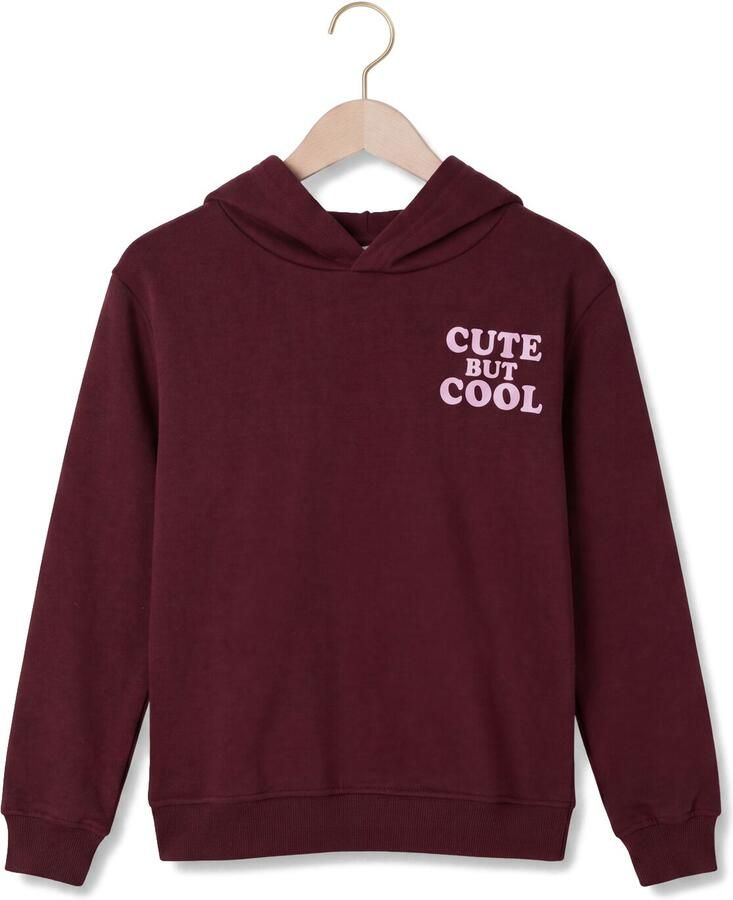 THE NEW Meisjes Truien & Vesten Tnstverla Bordeaux