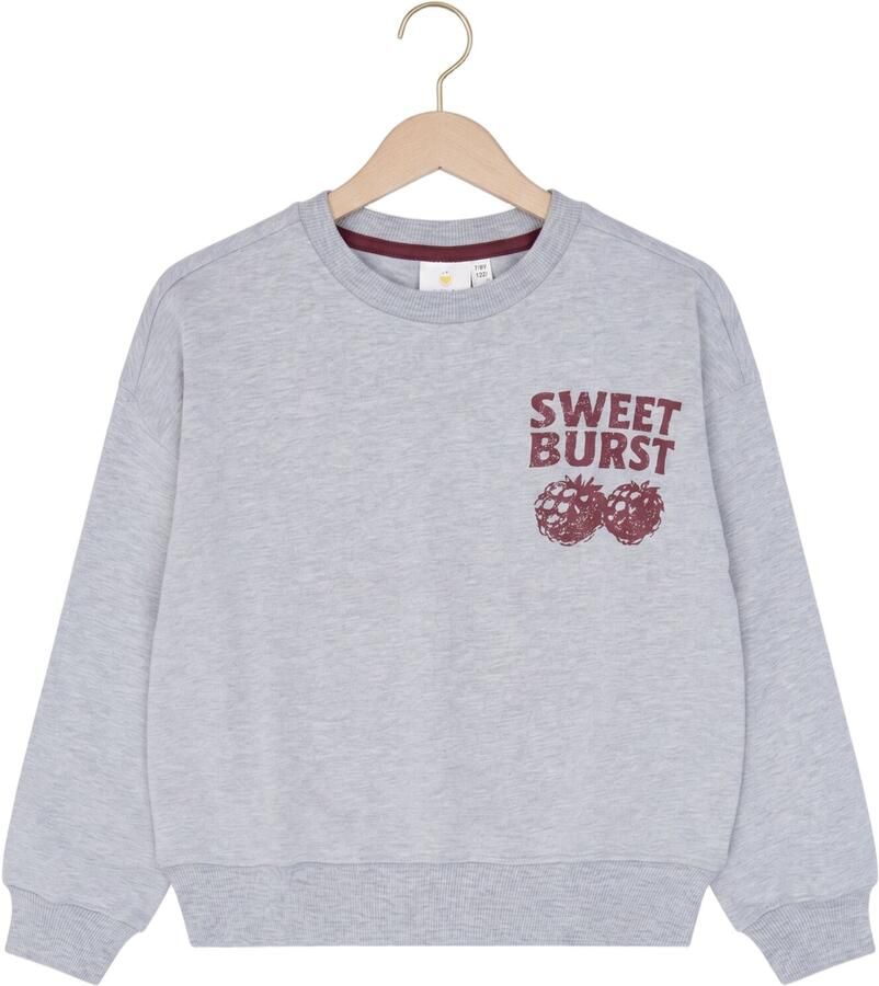 THE NEW Meisjes Truien & Vesten Tnveris Grijs