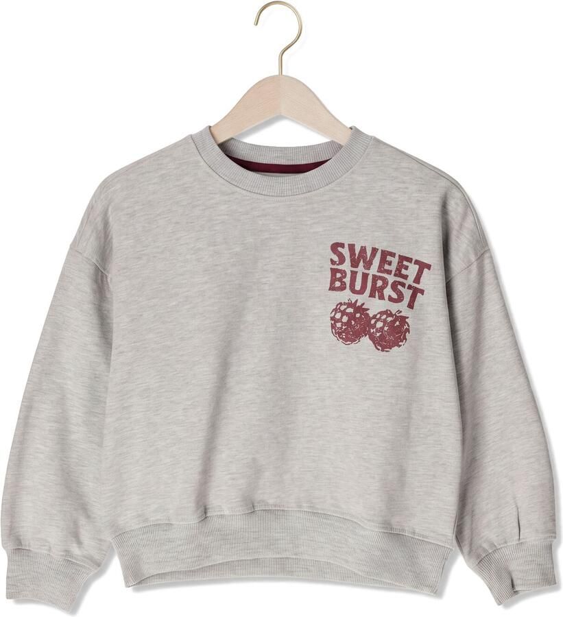 THE NEW Meisjes Truien & Vesten Tnveris Grijs