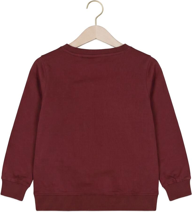 THE NEW Meisjes Truien & Vesten Tnvonnie Bordeaux - Foto 2