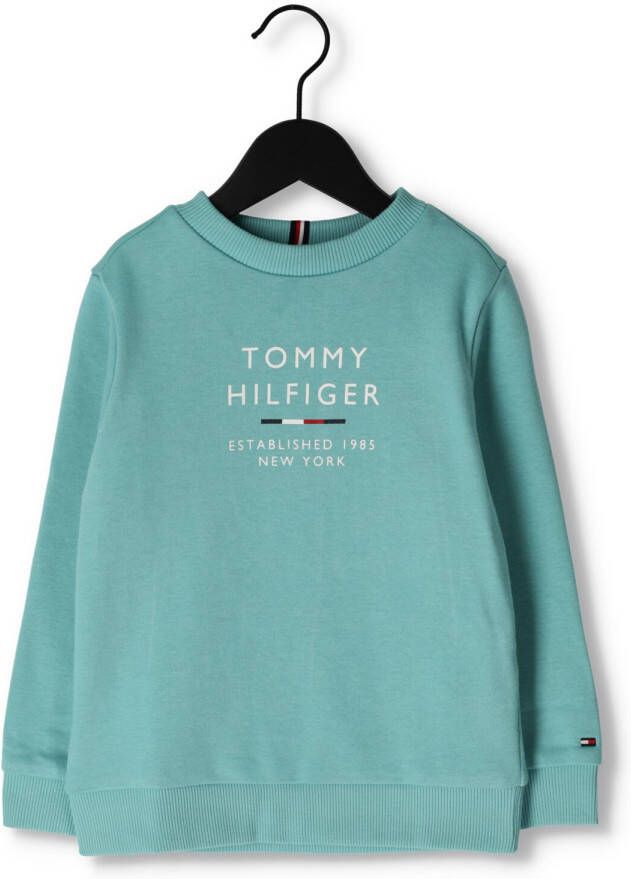TOMMY HILFIGER Jongens Truien & Vesten Th Logo Sweatshirt Blauw