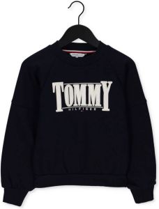 Tommy Hilfiger Donkerblauwe Trui Tommy Sateen Logo Cn