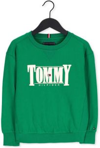 Tommy Hilfiger Groene Sweater Cord Applique Sweatshirt