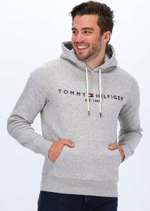 Lichtgrijze Tommy Hilfiger Sweater Core Tommy Logo Hoody