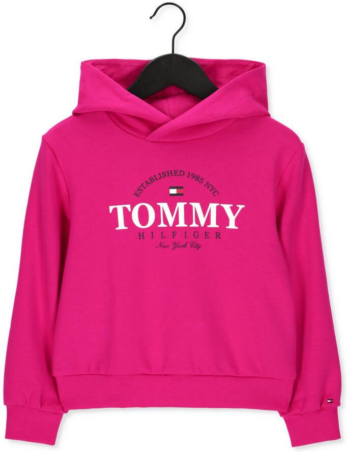 TOMMY HILFIGER Meisjes Truien & Vesten Tommy Foil Graphic Hoodie Roze